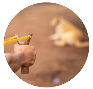 Man aiming rock in slingshot at dog-Animal Cruelty Enforcement campaign