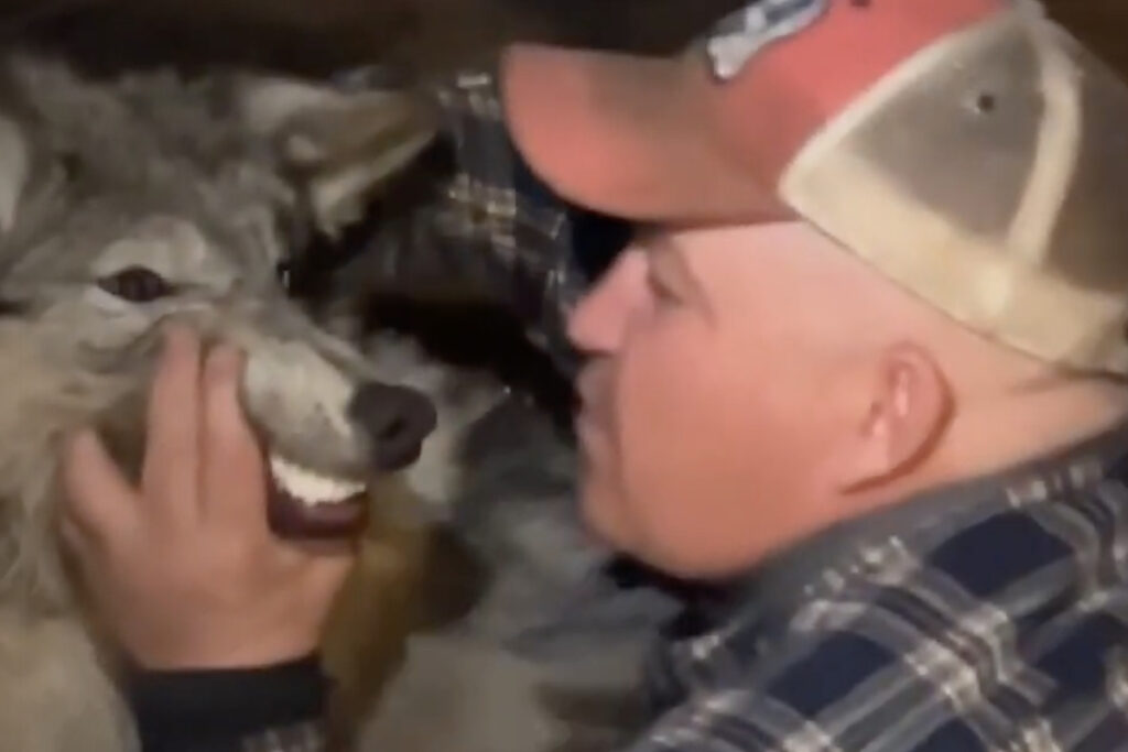 Center for a Humane Economy Offers $15,000 Reward for Details Resulting in  Arrest and Incarceration of Cody Roberts for Animal Cruelty