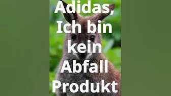 Animal welfare activists disrupt annual general meeting of adidas in Germany