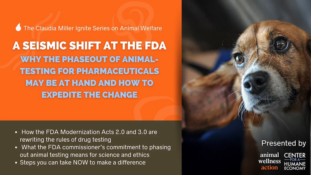 Seismic Shift at FDA: Phaseout of Animal-Testing May be at Hand