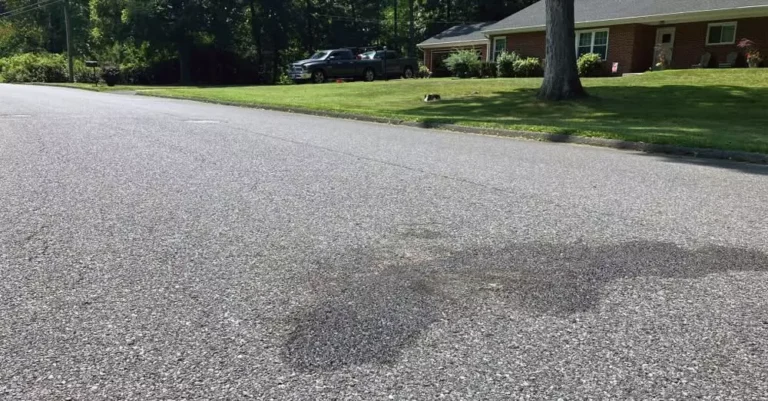 Stain on pavement as evidence of burnt fawn in baltimore county