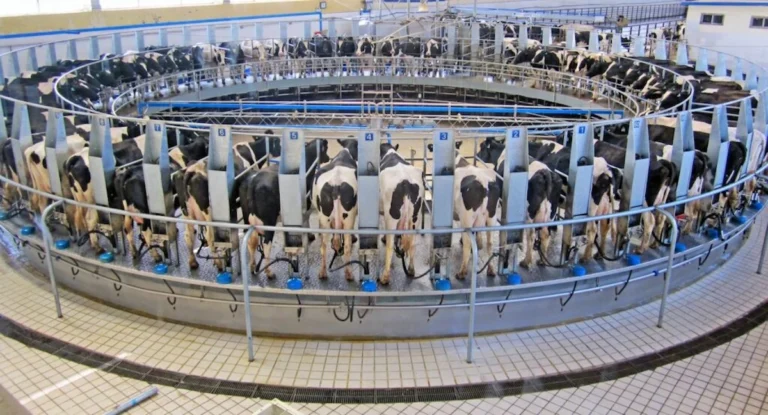 Breaking the Dairy Monopoly in Public Schools