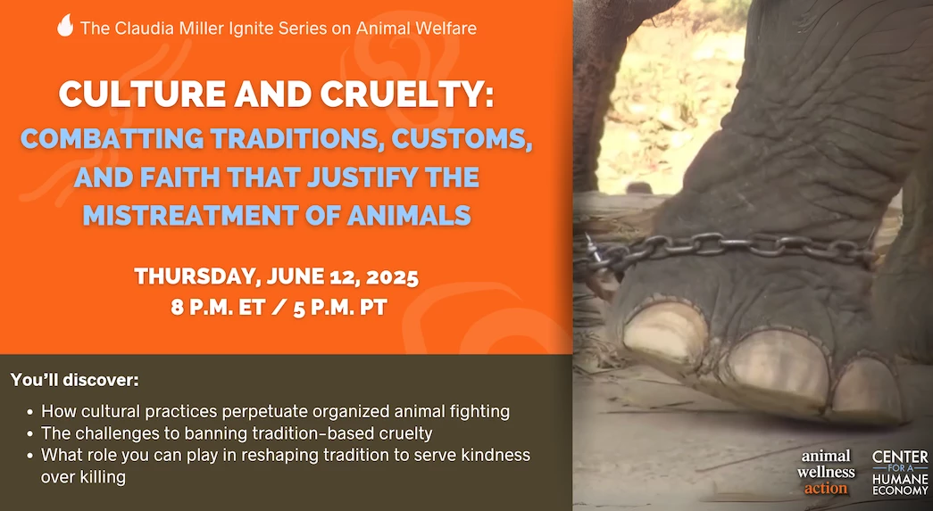 Combatting what justifies the mistreatment of animals | 6-12-25