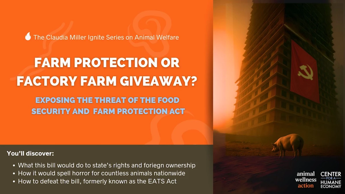 Farm protection or <br> factory farm giveaway?