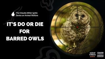 It's do or die for <br>barred owls | 10-25-25