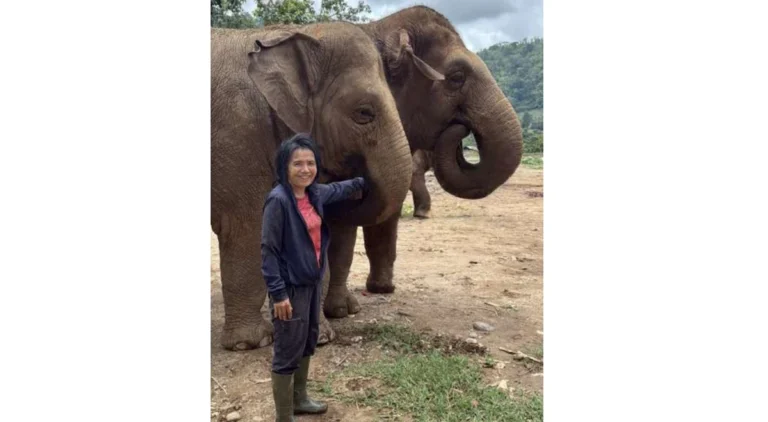 Sangduen “Lek” Chailert, founder of Elephant Nature Park, stands beside rescued elephants she has helped save from exploitation, embodying the sanctuary’s ethos of compassion and lifelong care.